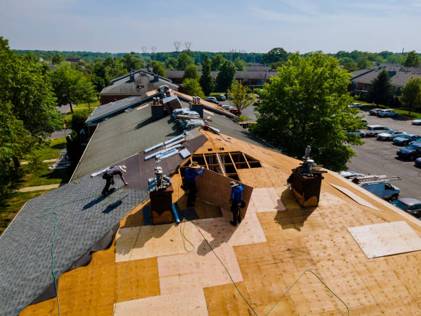 Best Commercial Roofing Services  in Taylorsville, MS