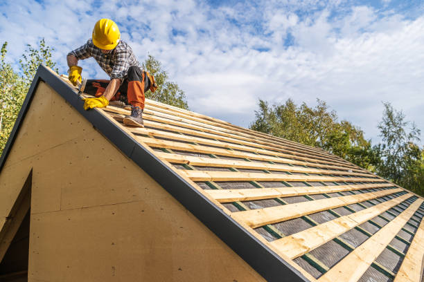 Best Roof Gutter Cleaning  in Taylorsville, MS