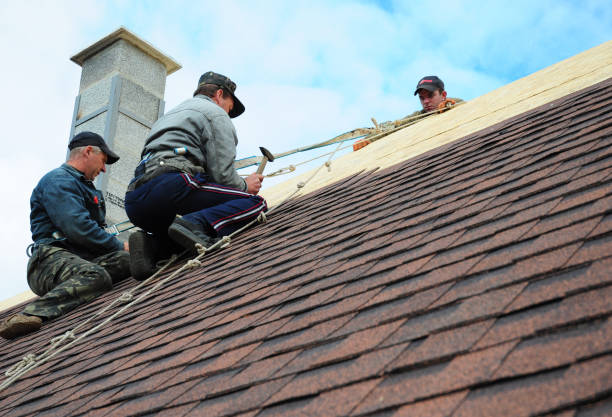 Best Commercial Roofing Services  in Taylorsville, MS